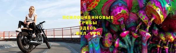 амф Алзамай