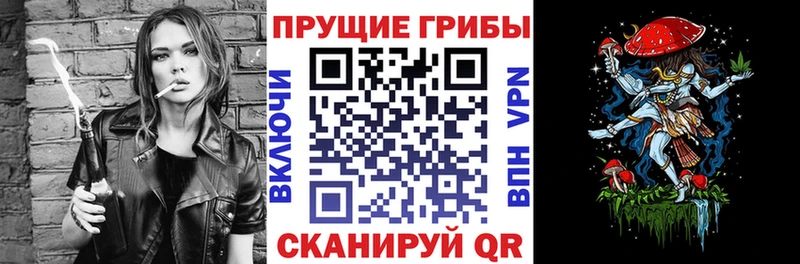 Псилоцибиновые грибы Psilocybine cubensis где купить наркоту нарко площадка состав Болохово